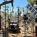 Bottle Tree Ranch